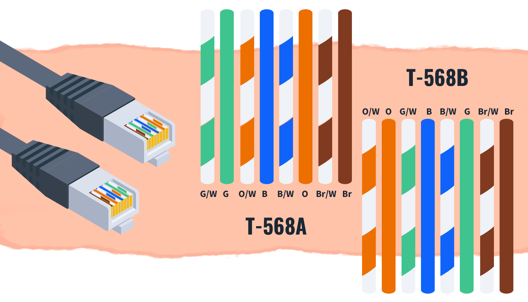 RJ45 Connector